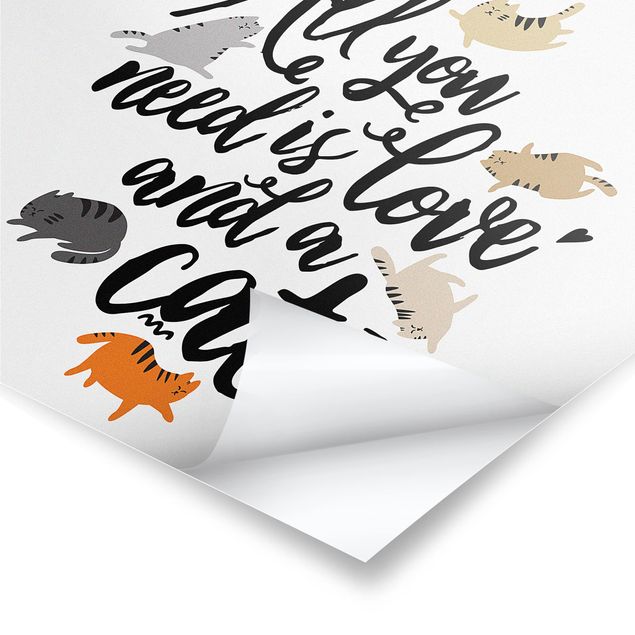 Posters All You Need Is Love And A Cat