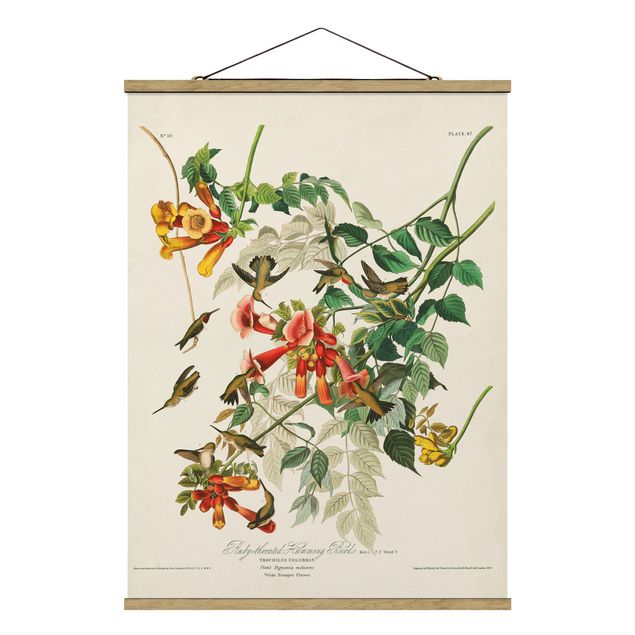 Stoffen schilderij met posterlijst Vintage Board Hummingbirds