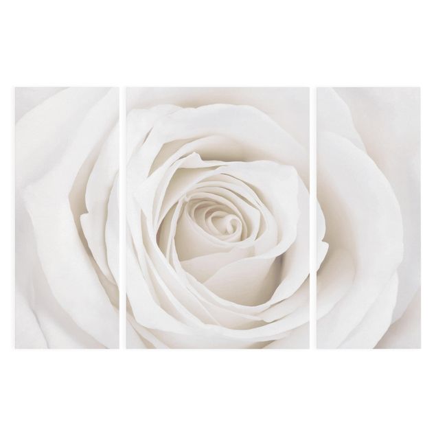 Canvas schilderijen - 3-delig Pretty White Rose