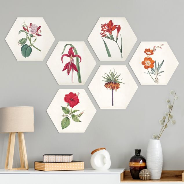 Hexagons Aluminium Dibond schilderijen - 6-delig Garden Beauty Set IV