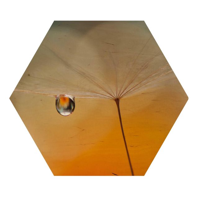Hexagons houten schilderijen Dandelion In Orange