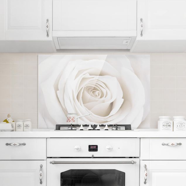 Spatscherm keuken Pretty White Rose