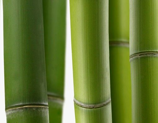 Wastafelonderkasten Bamboo Plants