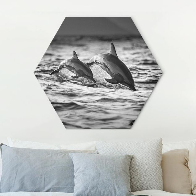 Hexagons Aluminium Dibond schilderijen Two Jumping Dolphins