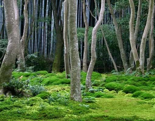Wastafelonderkasten Japanese Forest