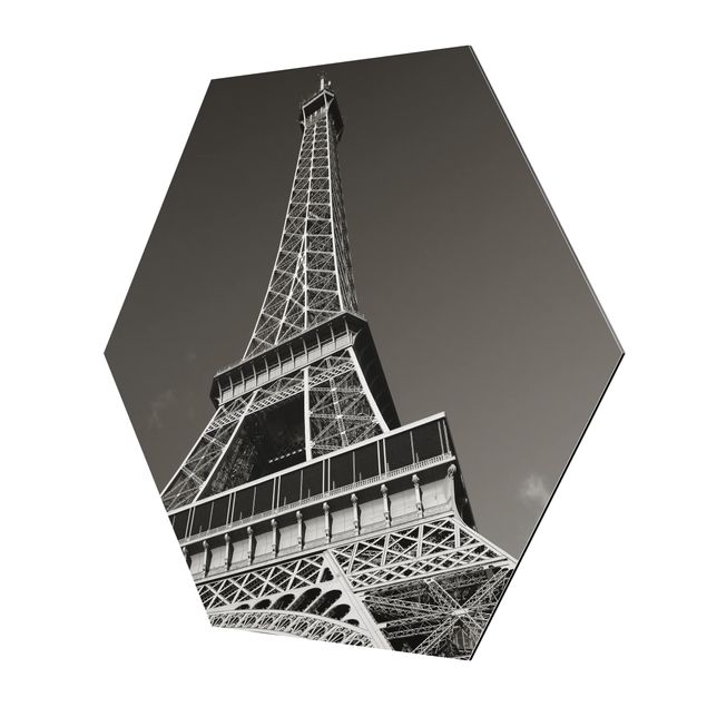Hexagons Aluminium Dibond schilderijen Eiffel tower