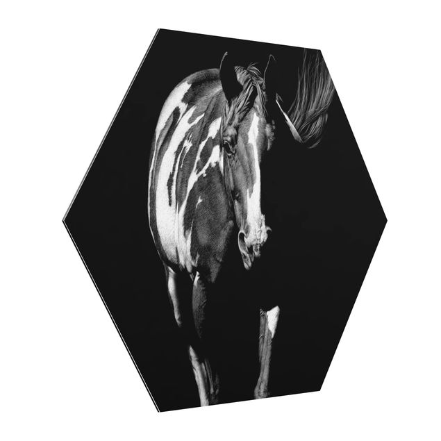 Hexagons Aluminium Dibond schilderijen Horse In The Dark