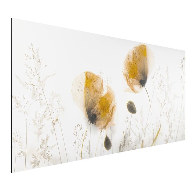 Aluminium Dibond schilderijen Poppy Flowers And Delicate Grasses In Soft Fog