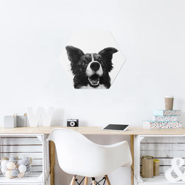 Hexagons Forex schilderijen Illustration Dog Border Collie Black And White Painting