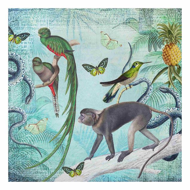 Forex schilderijen Colonial Style Collage - Monkeys And Birds Of Paradise