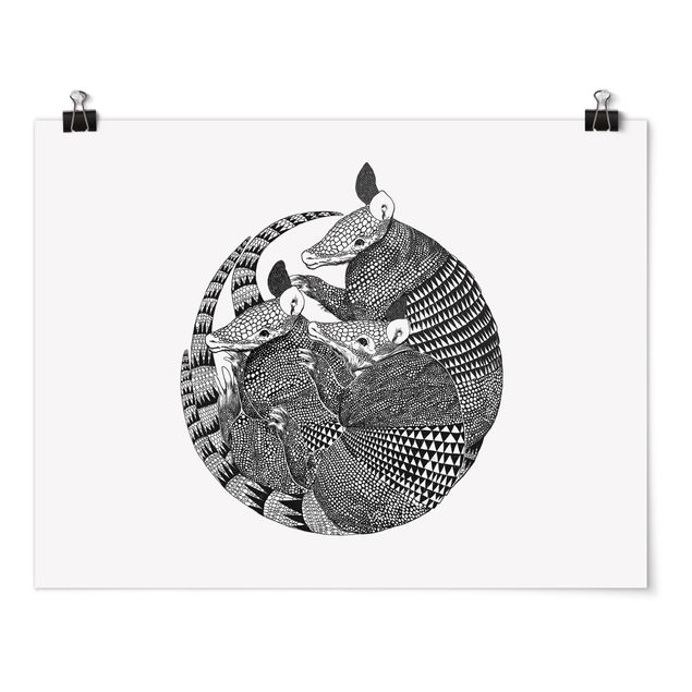 Posters Illustration Armadillos Black And White Pattern