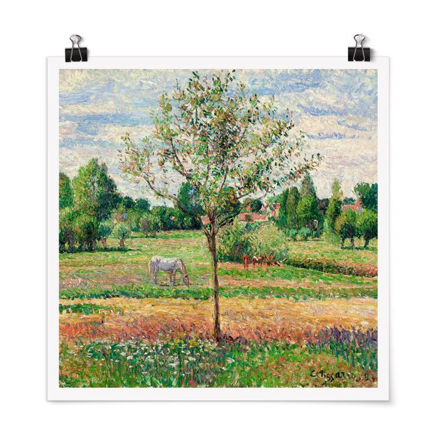 Posters Camille Pissarro - Meadow with Grey Horse, Eragny