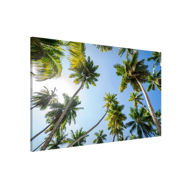 Magneetborden Palm Tree Canopy