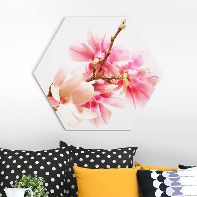 Hexagons Aluminium Dibond schilderijen Magnolia Blossoms
