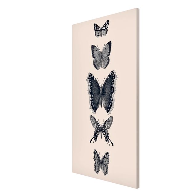 Magneetborden Ink Butterflies On Beige Backdrop