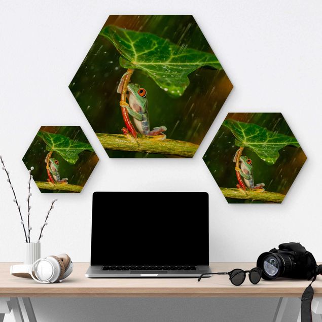 Hexagons houten schilderijen Frog In The Rain