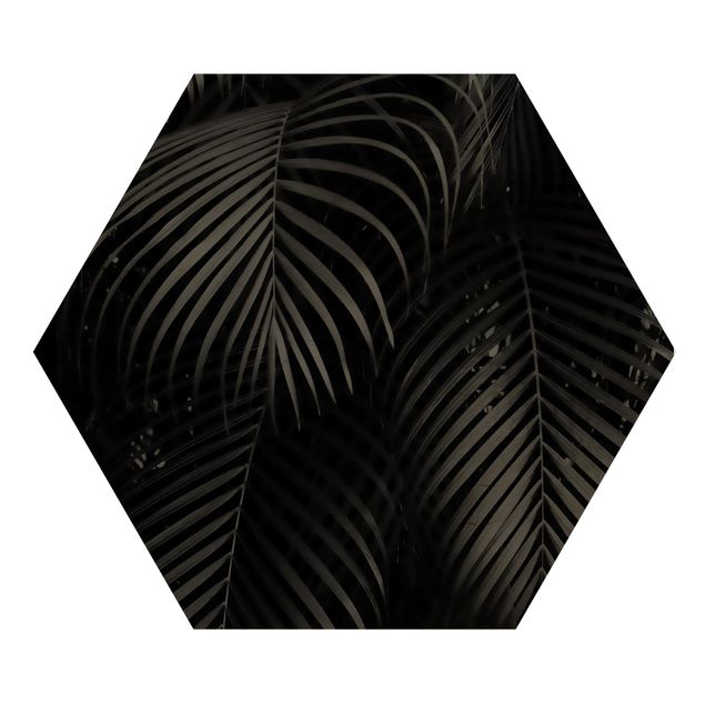 Hexagons houten schilderijen Black Palm Fronds