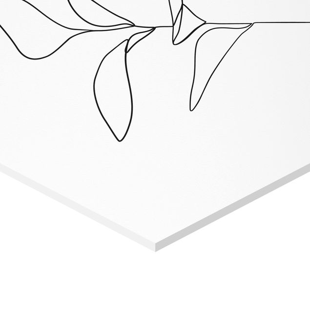 Hexagons Forex schilderijen Line Art Plant Leaves Black And White