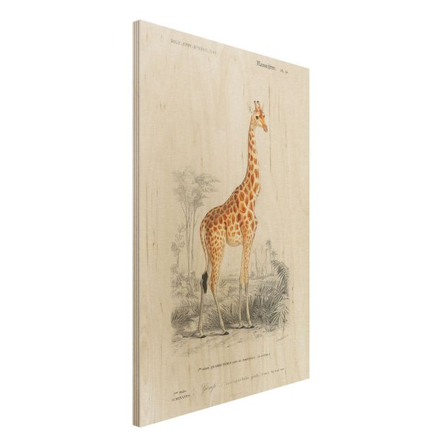 Houten schilderijen Vintage Board Giraffe