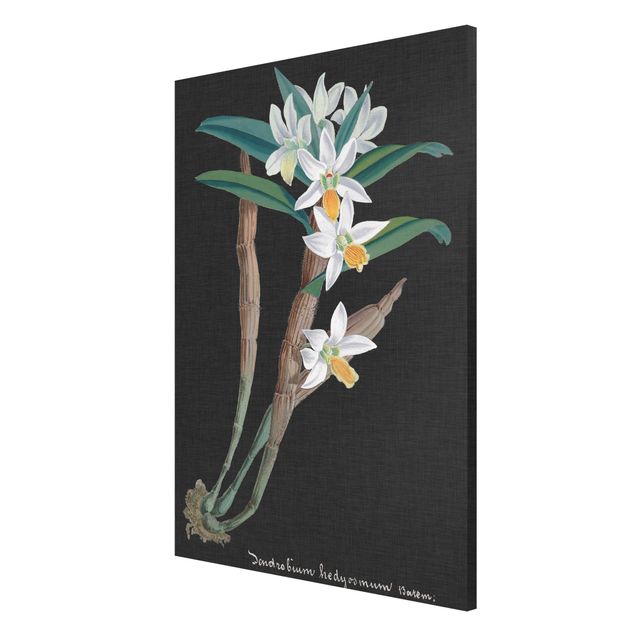 Magneetborden White Orchid On Linen I