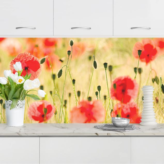Achterwand voor keuken bloemen Summer Poppies