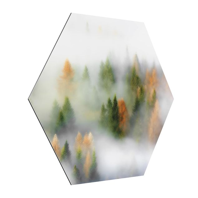 Hexagons Aluminium Dibond schilderijen Cloud Forest In Autumn
