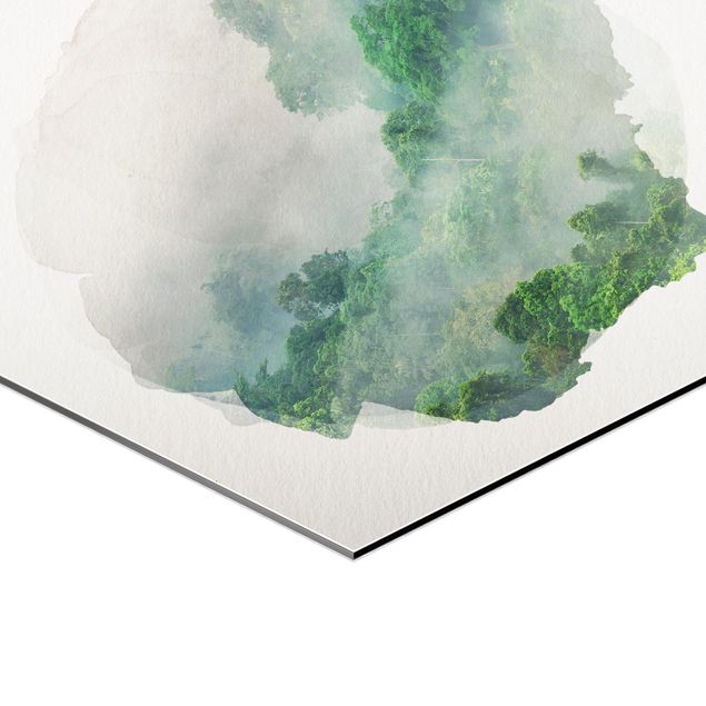 Hexagons Aluminium Dibond schilderijen WaterColours - Jungle In The Mist