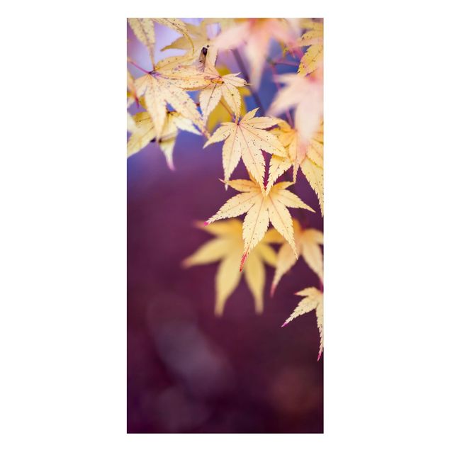 Magneetborden Autumn Maple Tree