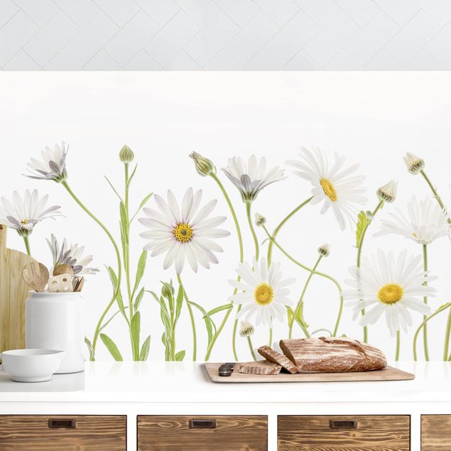 Achterwand voor keuken bloemen Gentle Daisy Mix I