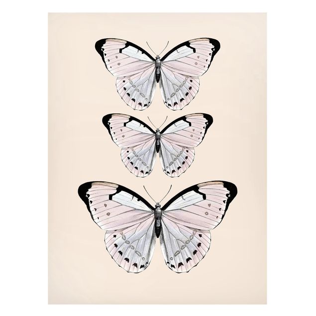 Magneetborden Butterfly On Beige