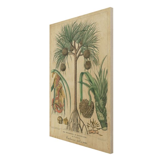 Houten schilderijen Vintage Board Exotic Palms I