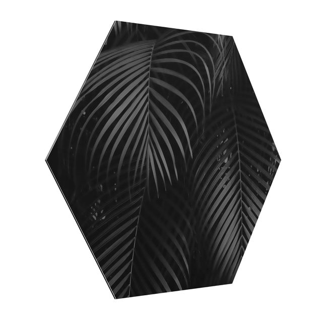Hexagons Aluminium Dibond schilderijen Black Palm Fronds