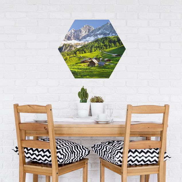 Hexagons Aluminium Dibond schilderijen Styria Alpine Meadow