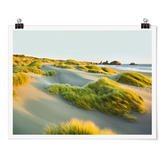 Posters Dunes And Grasses At The Sea
