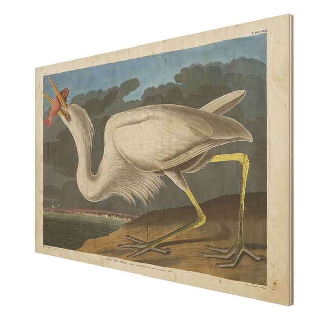 Houten schilderijen Vintage Board Great White Egret
