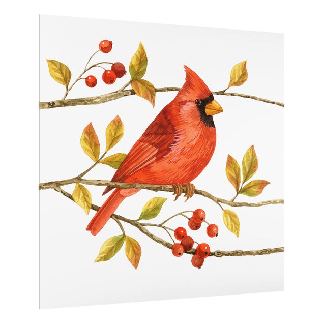 Spatscherm keuken Birds And Berries - Northern Cardinal