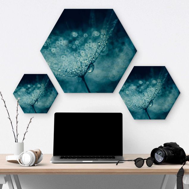 Hexagons houten schilderijen Blue Dandelion In The Rain
