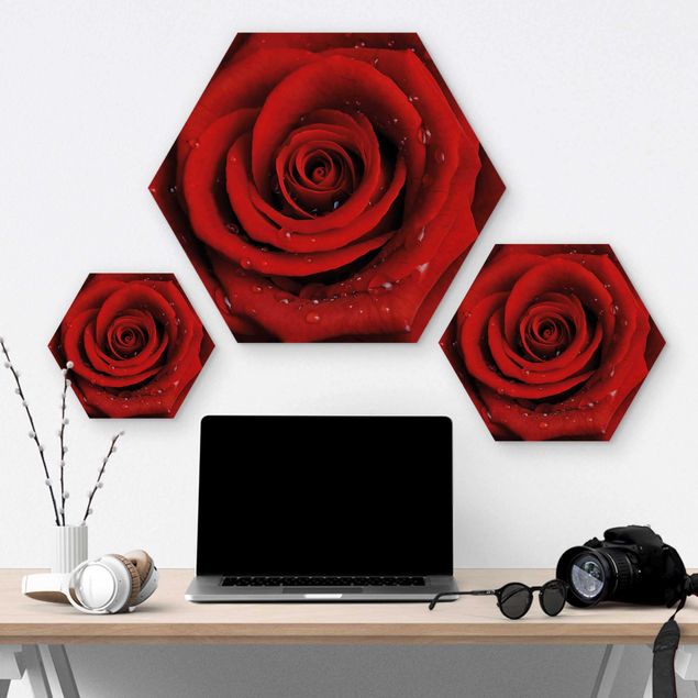 Hexagons houten schilderijen Red Rose With Water Drops