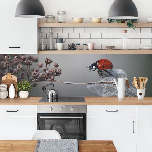 Achterwand voor keuken dieren Ladybird On Hydrangea