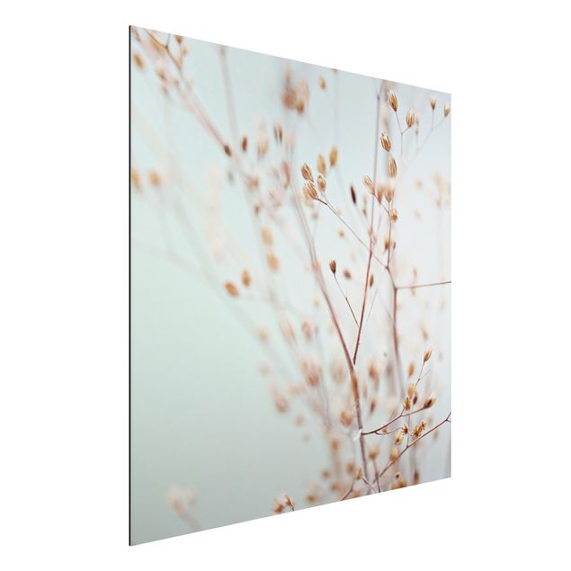 Aluminium Dibond schilderijen Pastel Buds On Wild Flower Twig