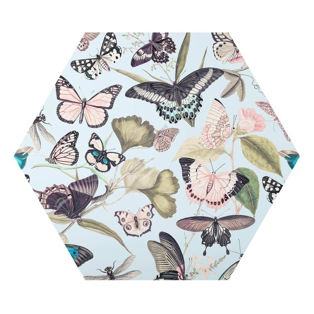 Hexagons Aluminium Dibond schilderijen Vintage Collage - Butterflies And Dragonflies