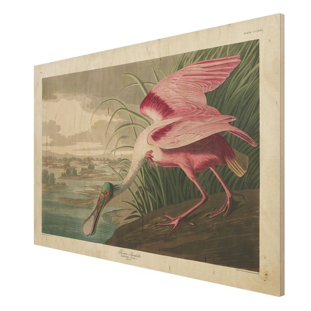 Houten schilderijen Vintage Board Pink Sturgeon