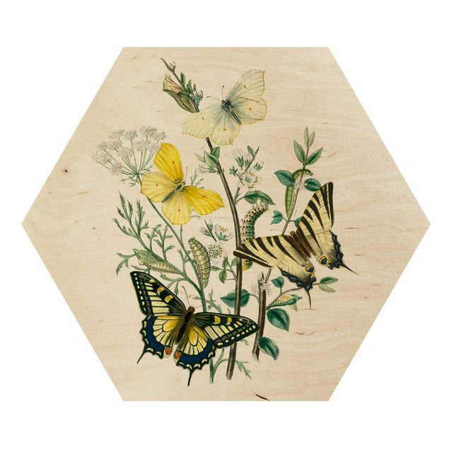 Hexagons houten schilderijen British Butterflies III
