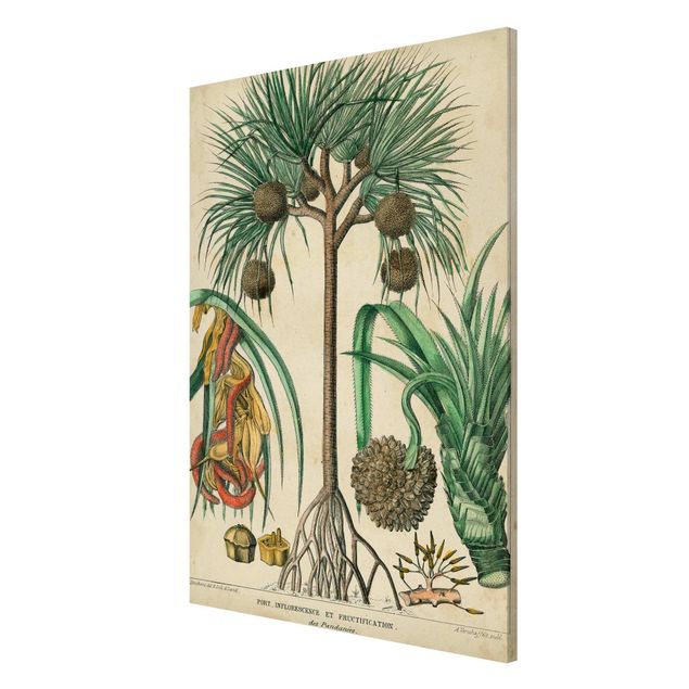 Magneetborden Vintage Board Exotic Palms I