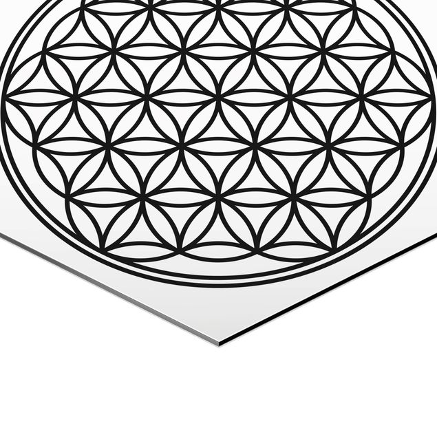 Hexagons Aluminium Dibond schilderijen Flower of Life