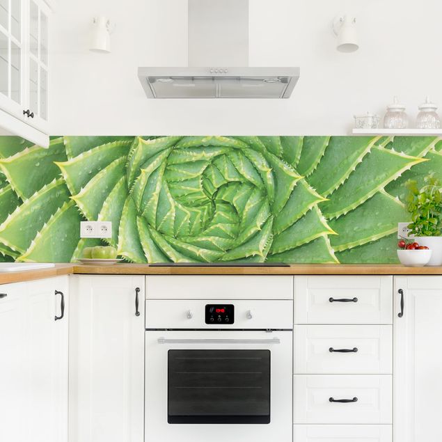 Achterwand voor keuken Spiral Aloe