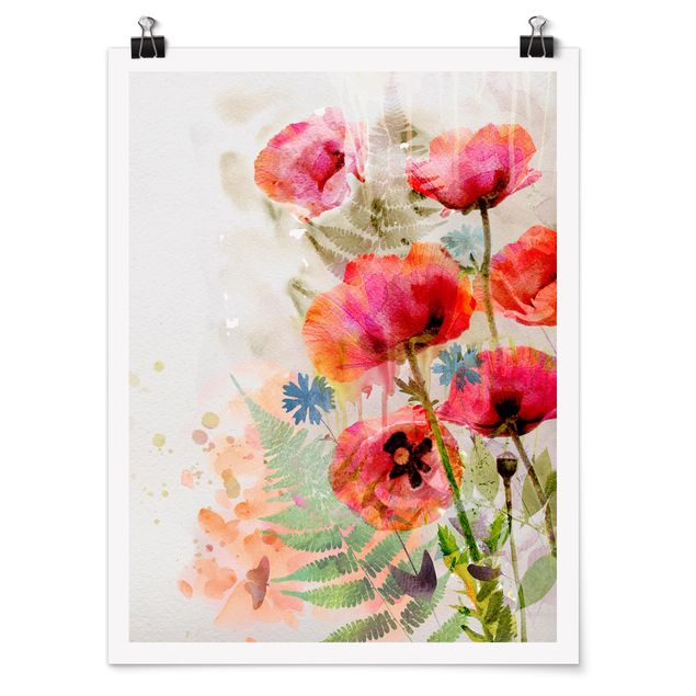 Posters Watercolour Flowers Poppy