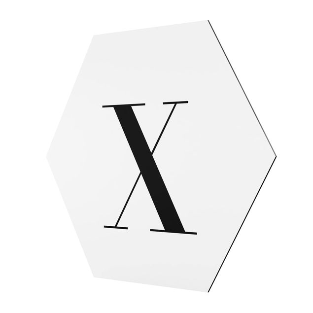 Hexagons Aluminium Dibond schilderijen Letter Serif White X