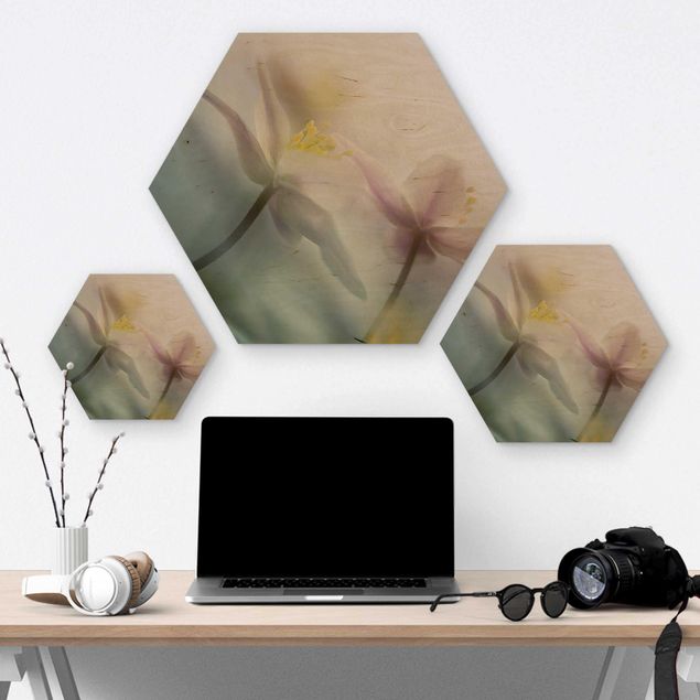 Hexagons houten schilderijen Wood anemone