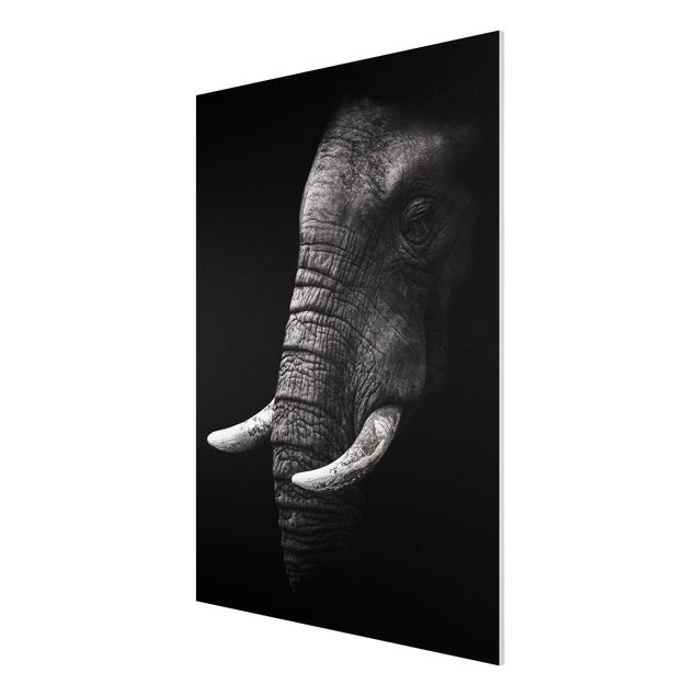 Forex schilderijen Dark Elephant Portrait
